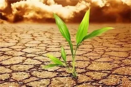 建設用地土壤污染修復工程環(huán)境監(jiān)理技術